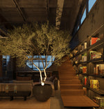 Proyecto Asociativo Surco Alto de las Palmas