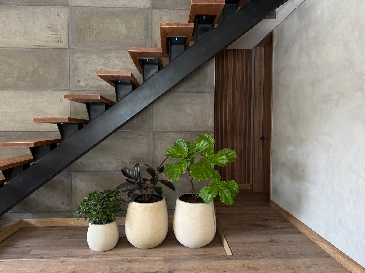 Casa independiente en Alto de las Palmas con jacuzzi, BBQ y diseño moderno