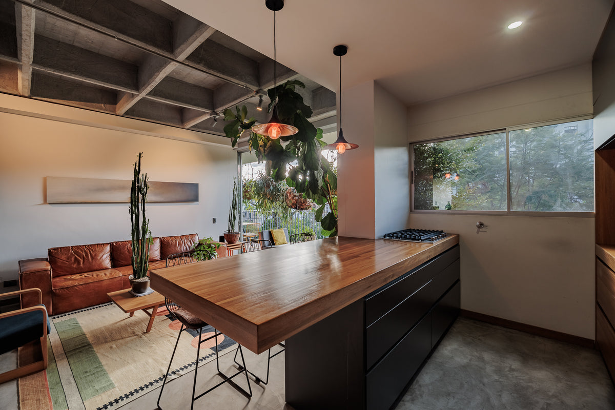 Modern apartment with reserve view