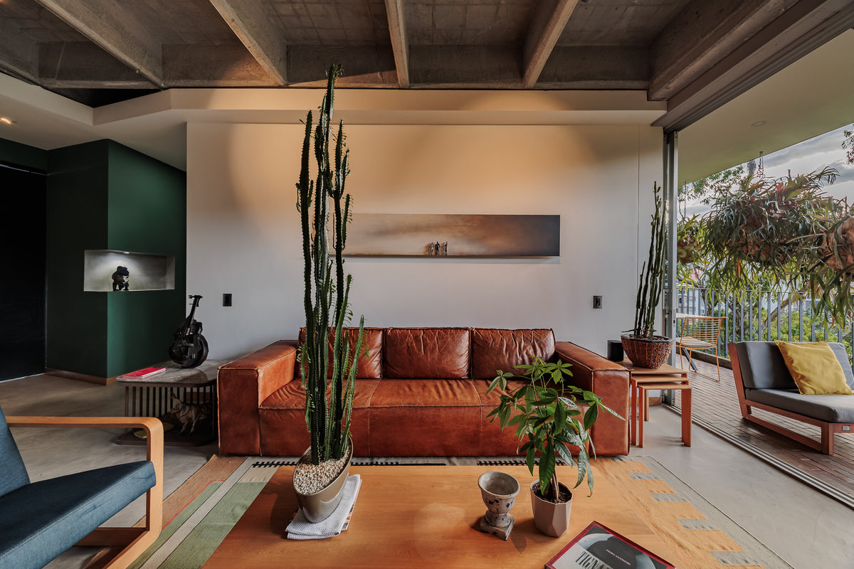 Modern apartment with reserve view