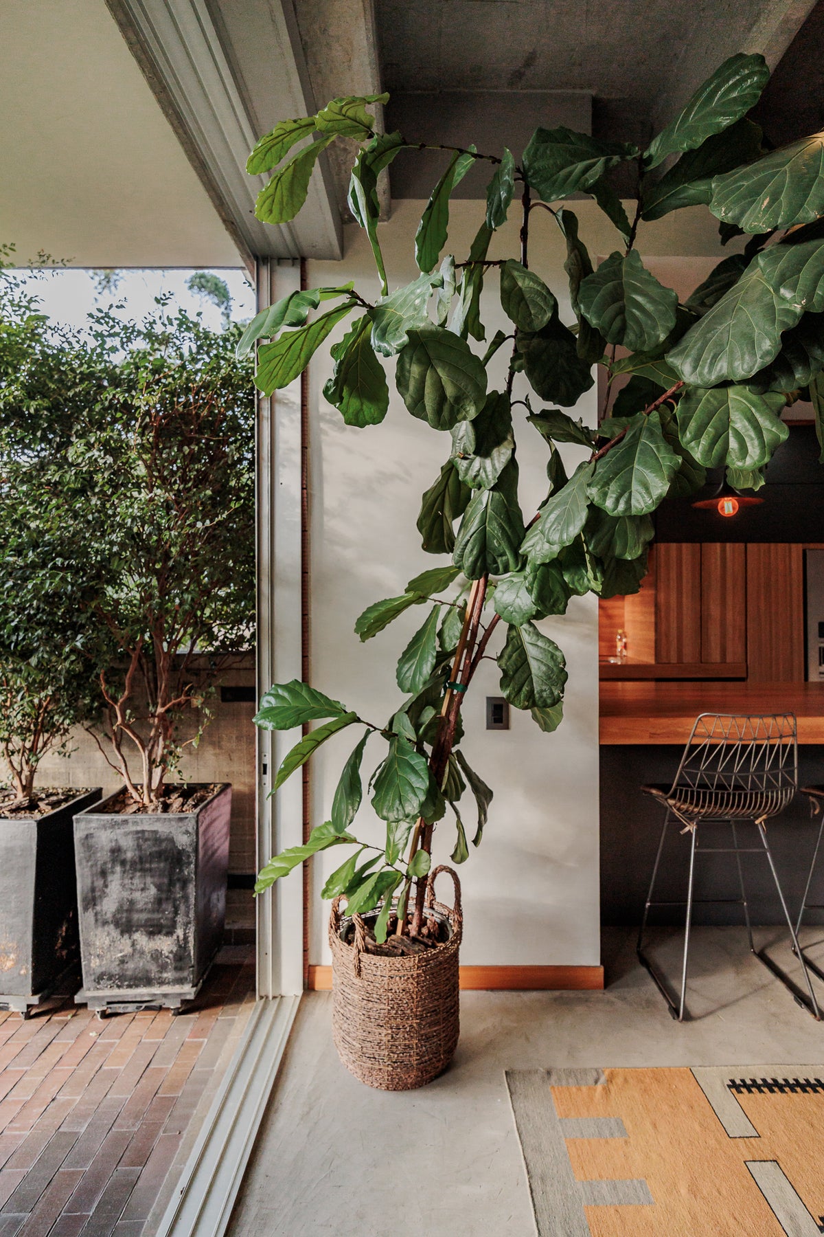 Modern apartment with reserve view