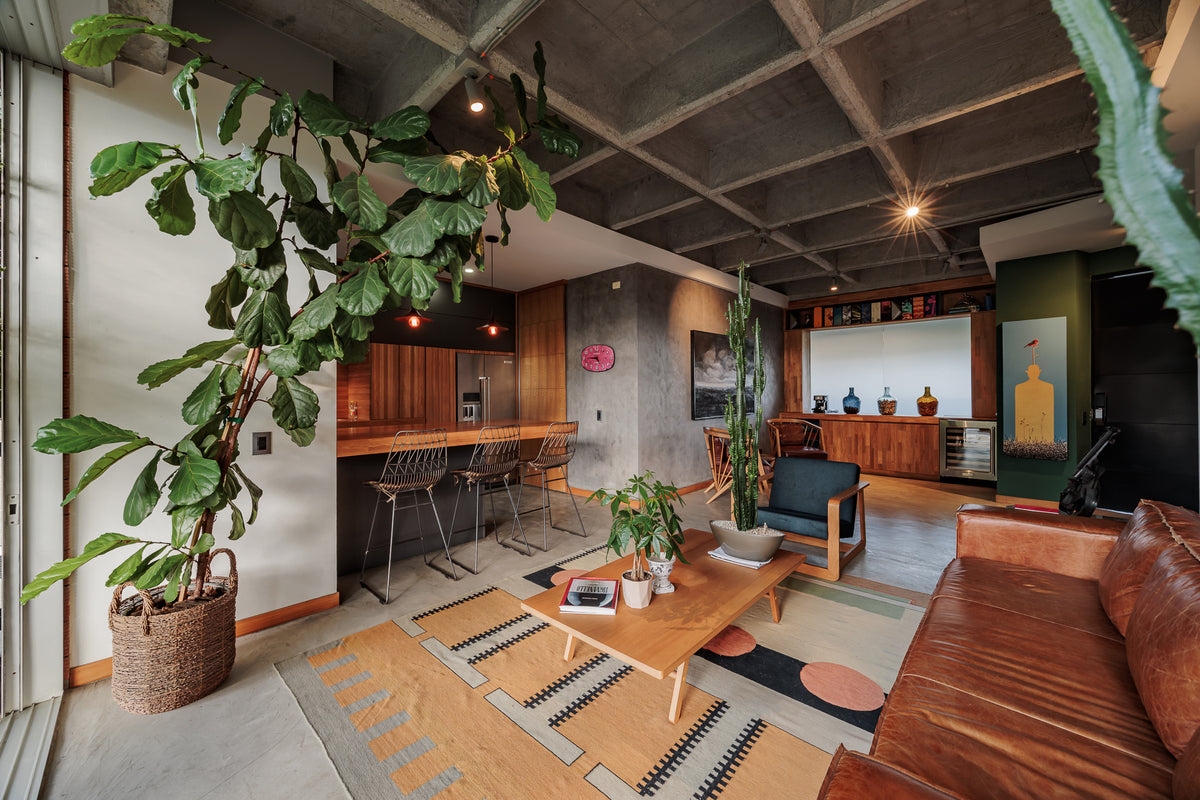 Modern apartment with reserve view