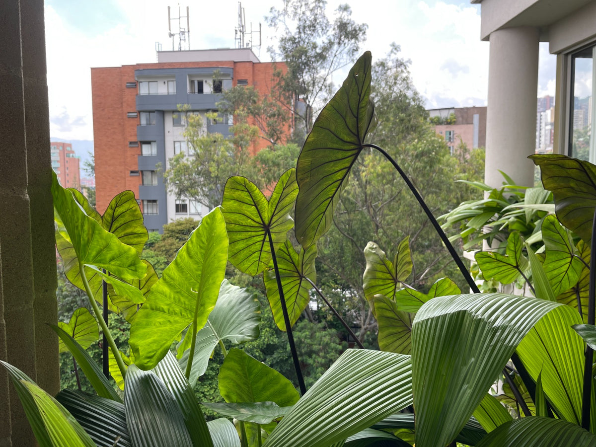 Apartamento Exclusivo Sector Vizcaya 2 BR