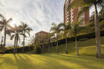 Jardín principal y zona verde de casa en El Poblado.