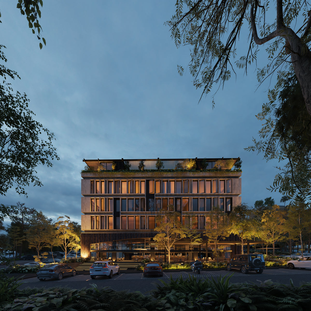 Proyecto Asociativo Surco Alto de las Palmas