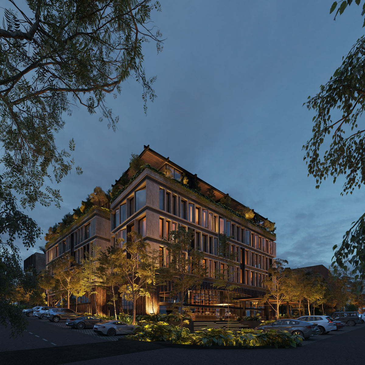 Proyecto Asociativo Surco Alto de las Palmas