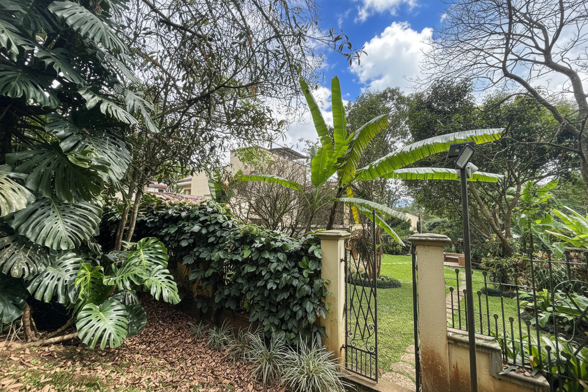 Casa con Gran Jardín y Alto Potencial de Remodelación en El Poblado