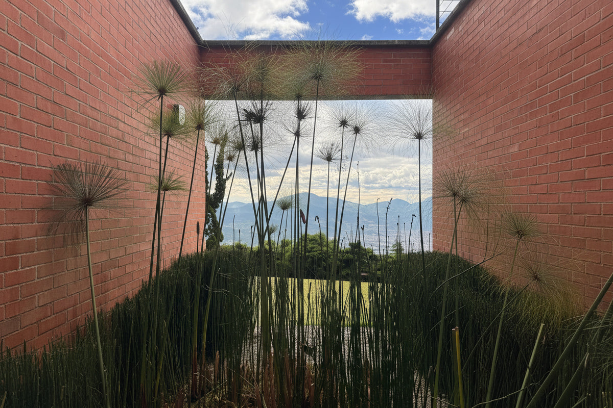 Casa de 368 m² en lote de 2.882 m² con vista panorámica en Las Palmas