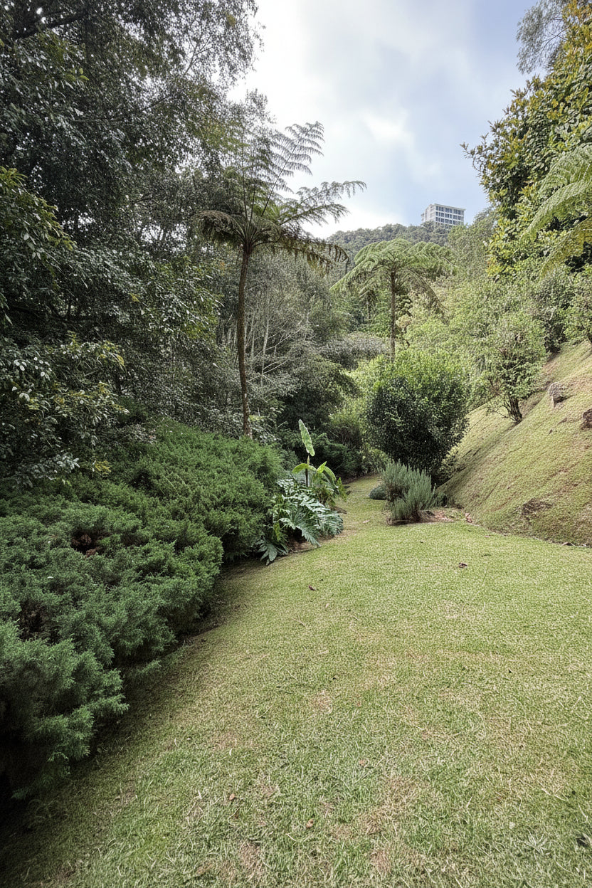 Casa de 368 m² en lote de 2.882 m² con vista panorámica en Las Palmas