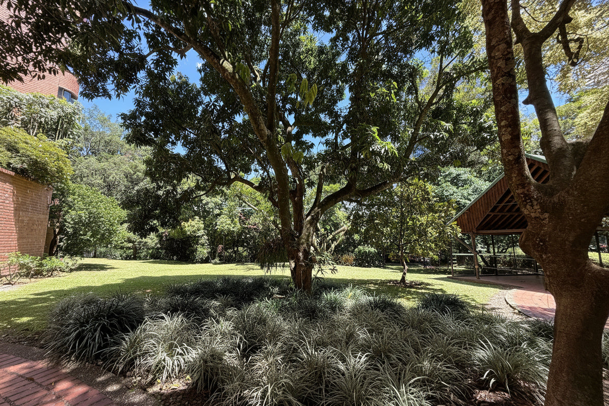 Apartamento con vista a la ciudad en Santa María de los Ángeles