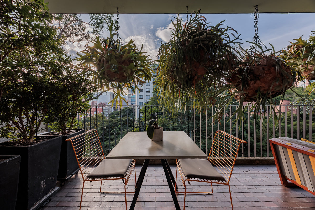 Modern apartment with reserve view