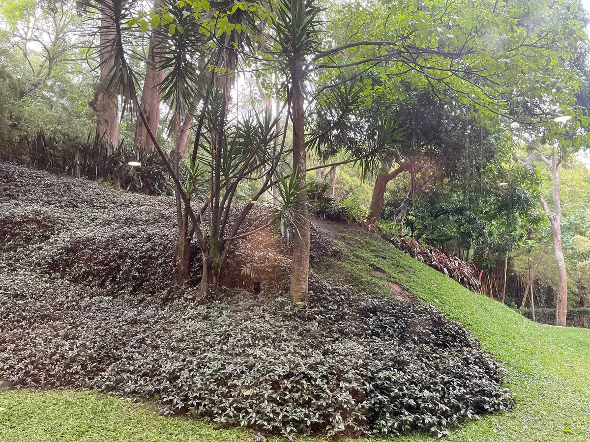 Remodeled Apartment Interlomas Sector 3 BR