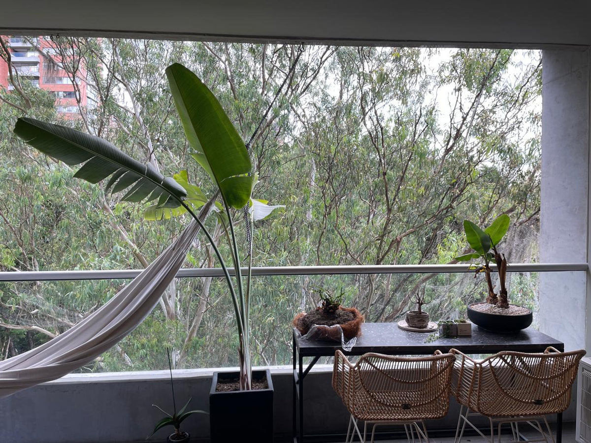 Apartamento Sector Cola del Zorro con vista a la ciudad y zonas comunes