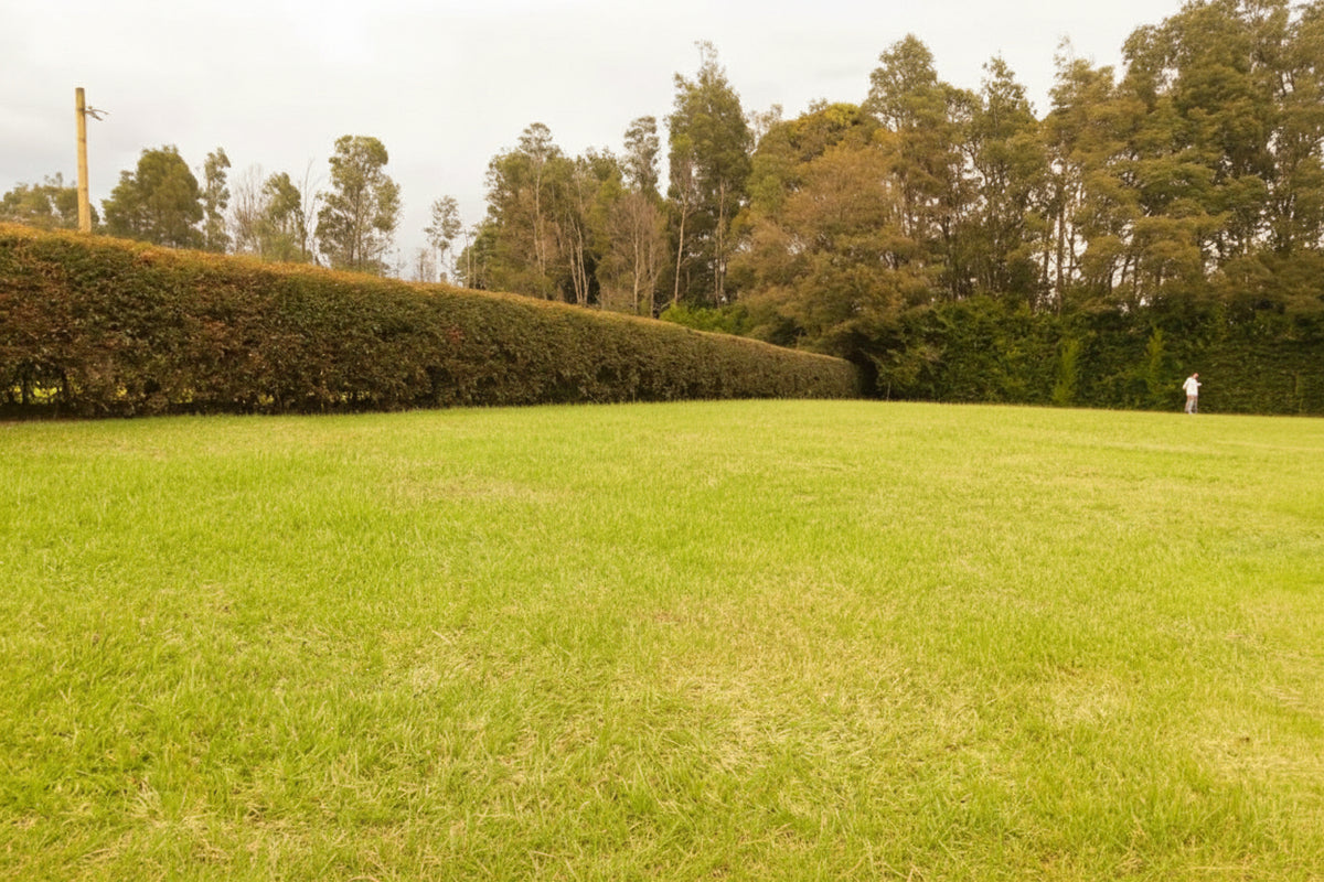 Lote Exclusivo en Llanogrande | 3.200 m²