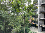 Apartment in El Tesoro Sector, 2 bedrooms, surrounded by nature