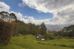 Lote en La Calera, El Poblado, con entorno natural y alto potencial de construcción