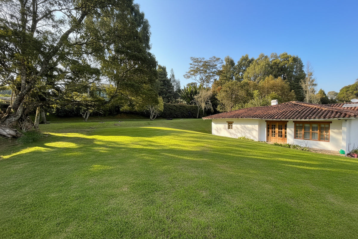 Casa de Campo de Lujo con Lote de 4.400 m² | Alto de las Palmas