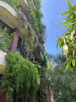 Penthouse boutique de lujo en Loma del Tesoro, Medellín, con vista panorámica a la ciudad y la montaña desde la terraza privada.